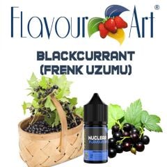 Flavour Art  Blackcurrant Aroma
