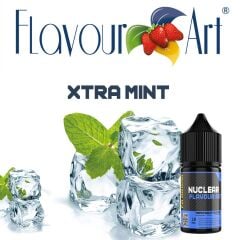 Flavour Art Xtra Mint Aroma