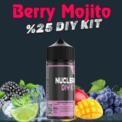 %25 Berry Mojito Yoğun Aroma Dıy-Kit